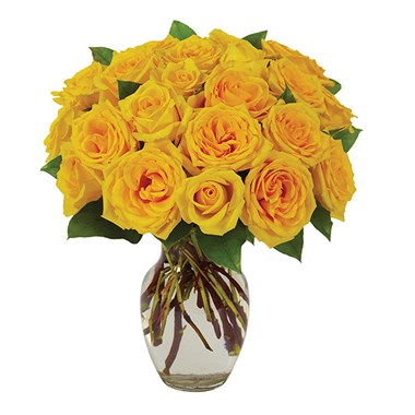 Yellow Rose Bouquet (BF239-11)