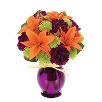 Fresh Trick & Treat Bouquet (BF348-11KM)