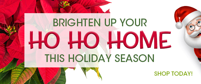700x294-Holidays2022-3