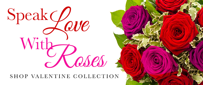 700x294-Valentine2023-3