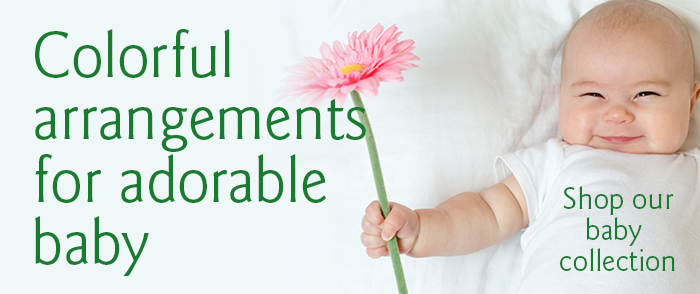 700x294_Baby-2023