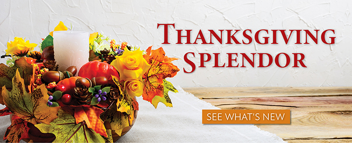 Thanksgiving_2024_700